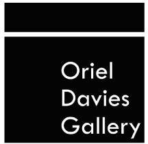 Oriel Davies Gallery